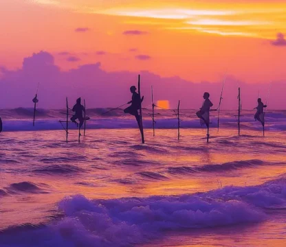 best time to travel sri lanka